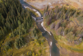 Lands within the Jim Prentice Wildlife Corridor (Photo by Brent Calver)