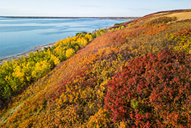 Fall colours at Rachel Agnes Hayes (Photo by NCC)