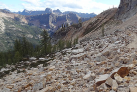 Pika habitat in the Rockies (Photo by Ryan Brown/iNaturalist)