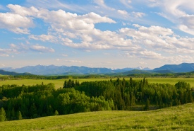 OH Ranch, Alberta (Photo by Karol Dabbs)