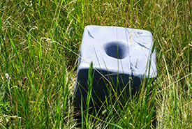 Mineral licks are used to direct cattle to an area (Photo by NCC)