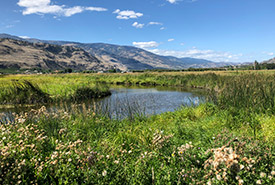 Osoyoos Oxbows post-restoration in 2019 (Photo by NCC)