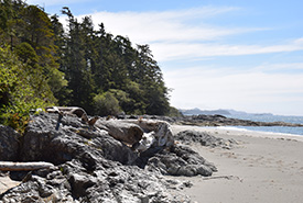 Clayoquot Island's rocky shores (Photo by NCC)
