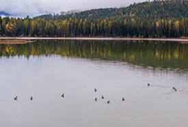Lac Larsen, C.-B. (Photo de Nick Nault)