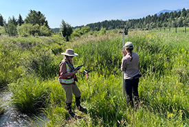 NCC staff surveying at Thunder Hill Ranch, BC (Photo by Haley MacDonald/NCC Staff)