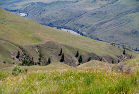 Canyon, Aire de conservation Sage and Sparrow, C.-B. (Photo de CNC)