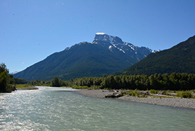 Freshwater habitats are important to Iclhicwani's waterfowl and migratory fish. (Photo by Harvey Thommasen)