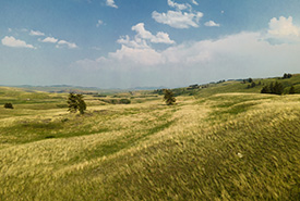Bunchgrass Hills. (Photo by Fernando Lessa)