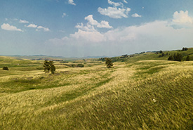 Bunchgrass Hills, C.-B. (Photo de Fernando Lessa)