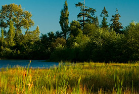 Estuaire de la rivière Campbell, C.-B. (Photo de Tim Ennis/CNC)