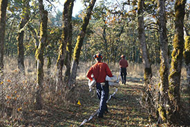 BCWS firefighters at the Cowichan Garry Oak Preserve (Photo by Virginia Hudson)