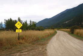 "Frog Crossing" sign (Photo by NCC)