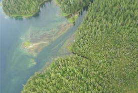 Gullchucks estuary from the air (Photo by NCC)
