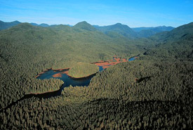 Koeye Watershed from the air