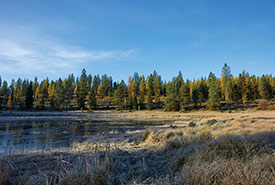 Aire de conservation du ranch de la rivière Kootenay, C.-B. (Photo de Colin Way)