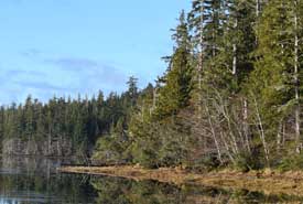 Estuaire de la rivière Kumdis, C.-B. (Photo de Graham Richard)