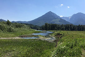 Side channel of Elk River at Morrissey Meadows (Photo by NCC)