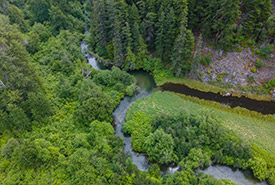 Gates Creek Conservation Area (Photo by Fernando Lessa)