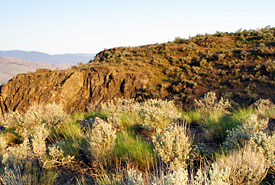 Sagebrush cliffs, Rattlesnake Bluffs, British Columbia (Photo by Richard Doucette)