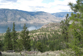 Skaha Bluffs, BC (Photo by NCC)