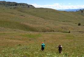 Sage and Sparrow Conservation Area, BC (Photo by NCC)