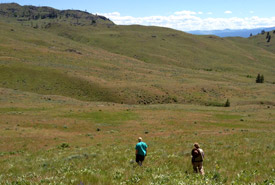 Aire de conservation Sage and Sparrow, C.-B. (Photo de CNC)