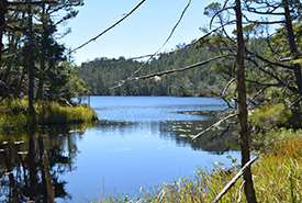 A magical day at Spider Island (Photo by NCC)