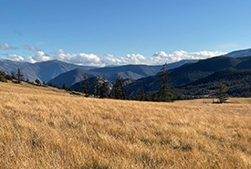 Southern portions of Talking Mountain Ranch Conservation Area (Photo by Danielle Cross/NCC Staff)