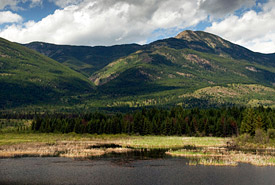 Wetlands in the Marion Creek Benchlands, British Columbia (Photo by Tim Ennis/NCC)