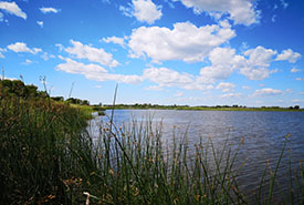 Husavik Coastal Wetlands