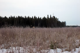 La propriété Kurian, Manitoba (photo de CNC)