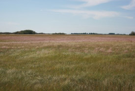Maple Lake project, Manitoba (Photo by NCC)
