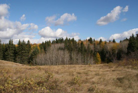Riding Mountain Natural Area, Manitoba (Photo by NCC)