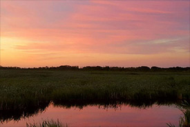 Sunset over Douglas Marsh, MB (Photo by NCC)
