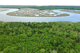 Musquash Estuary, NB (Photo by Mike Dembeck)