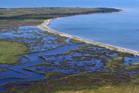 The Nature Conservancy of Canada's Nature Reserve in Escuminac, NB (Photo by Mike Dembeck)