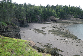 Pendleton Island NB Lower Bay of Fundy (Photo by NCC)