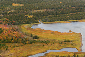 Réserve naturelle du lac Frye, N.-B. (Photo de Mike Dembeck)