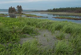 Grand Manan, NB (Photo by Nick Hawkins)