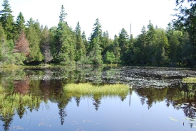 Estuaire de la Musquash, N.-B. (Photo de CNC)