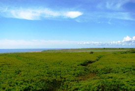 Pokemouche Nature Reserve, NB (Photo by NCC)