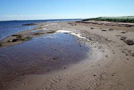 île Tern, Tabunsintac, Nouveau-Brunswick (photo de CNC)