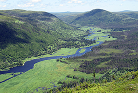 View of the Grasses Nature Reserve, Newfoundland and Labrador (Photo by NCC)