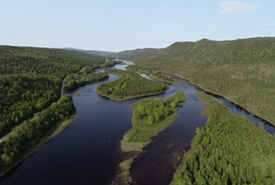 Lloyd's River Nature Reserve, NL (Photo by Piers-Evans/NCC staff)