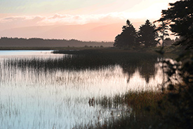 Grand Codroy Estuary, NL at sunset (Photo by Mike Dembeck) 