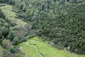 Docherty's Brook, N.-É. (Photo de Mike Dembeck)