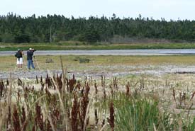 Birders at Big Pond Cove, Brier Island, NS (Photo by NCC)
