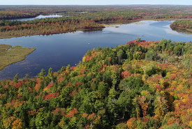 Aire de conservation Upper Ohio, N.-É. (Photo de Mike Dembeck)