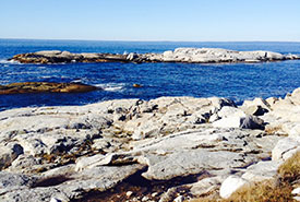 Rocks and ocean as seen on the Dr. Bill Freedman Nature Reserve (Photo by NCC)