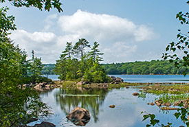 View of Williams Lake at Shaw Wilderness Park in Halifax, NS (Photo by Andrew Herygers/NCC staff)